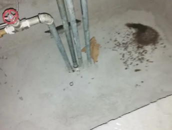 涪陵卫生间测漏水价格明细