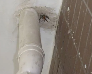 涪陵漏水检测哪家好